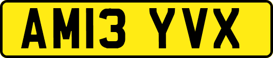 AM13YVX