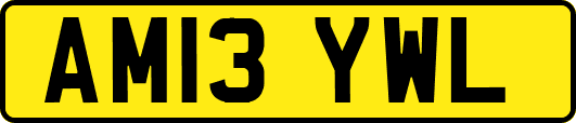 AM13YWL
