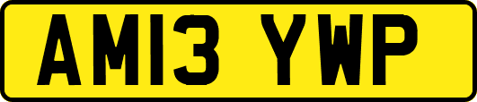 AM13YWP