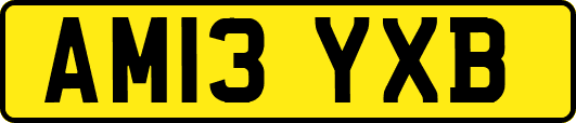 AM13YXB