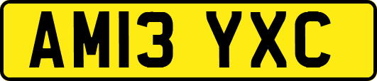 AM13YXC