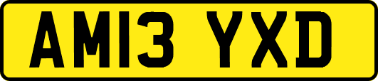 AM13YXD