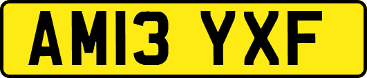 AM13YXF
