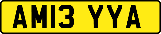 AM13YYA