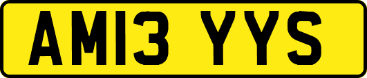AM13YYS