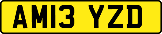 AM13YZD