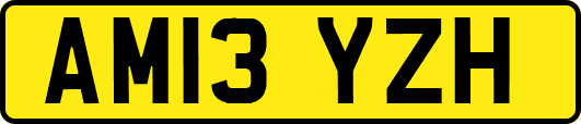 AM13YZH