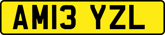 AM13YZL