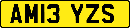 AM13YZS
