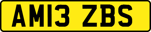 AM13ZBS