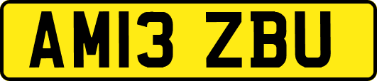 AM13ZBU