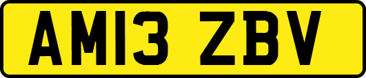 AM13ZBV