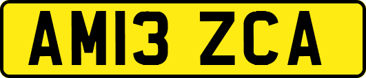 AM13ZCA