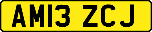 AM13ZCJ