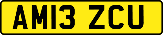 AM13ZCU