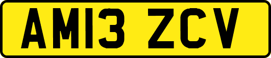 AM13ZCV