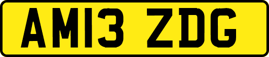 AM13ZDG
