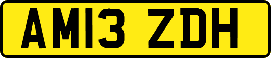 AM13ZDH