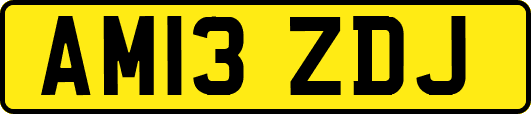 AM13ZDJ