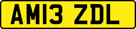 AM13ZDL