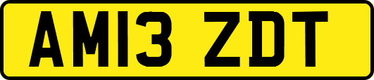 AM13ZDT