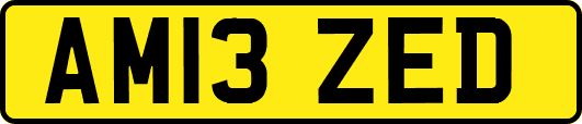 AM13ZED