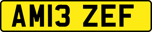 AM13ZEF