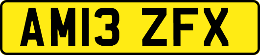 AM13ZFX
