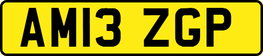 AM13ZGP