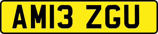AM13ZGU