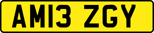 AM13ZGY
