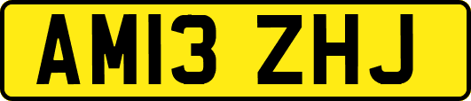 AM13ZHJ