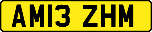 AM13ZHM