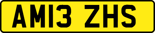 AM13ZHS