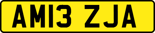 AM13ZJA
