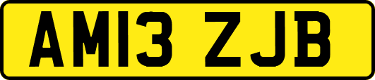 AM13ZJB