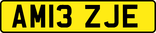 AM13ZJE