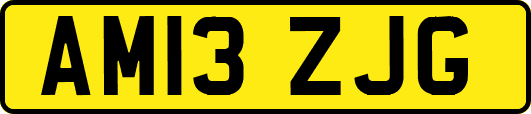 AM13ZJG