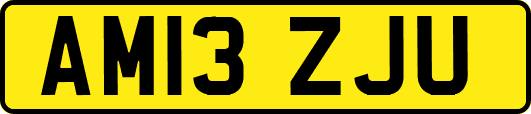 AM13ZJU