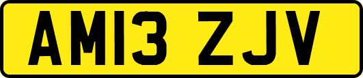 AM13ZJV