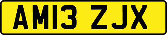 AM13ZJX