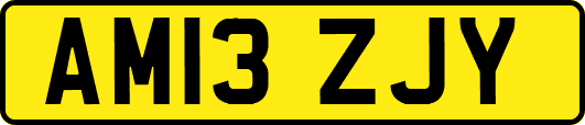 AM13ZJY