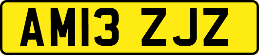 AM13ZJZ