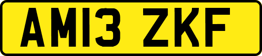 AM13ZKF