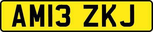 AM13ZKJ