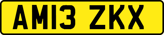 AM13ZKX