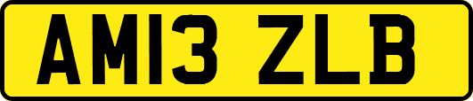 AM13ZLB
