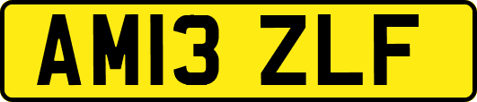 AM13ZLF