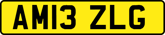 AM13ZLG