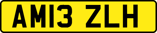 AM13ZLH